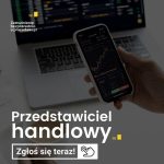 Przedstawiciel handlowy – branża budowlana – techniczna – stolarska
