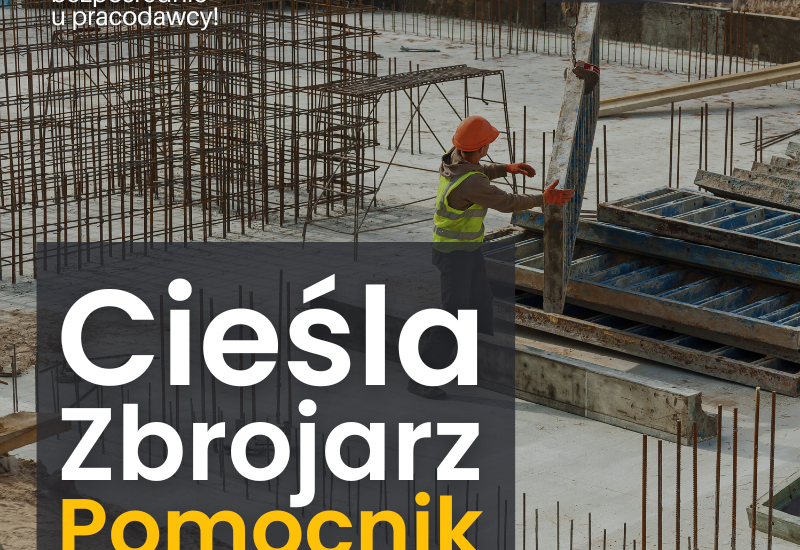 Pracownik budowlany: Cieśla szalunkowy, Zbrojarz, Pomocnik szalunkowy. bez języka. Niemcy