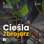 Cieśla/Zbrojarz (bez planów, bez języka)