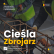 Cieśla/Zbrojarz (bez planów, bez języka)