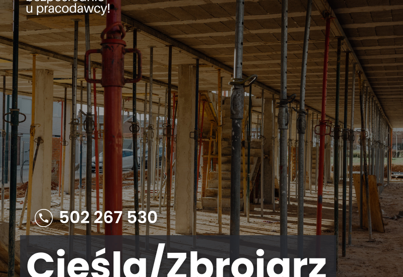 Pracownik ogólnobudowlany: Cieśla szalunkowy/zbrojarz/pomocnik. Niemcy. Frankfurt